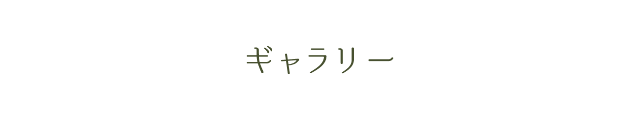 ギャラリー